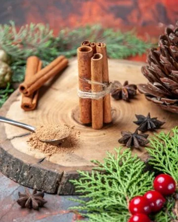 계피의 기본적인 특징과 활용 개요13