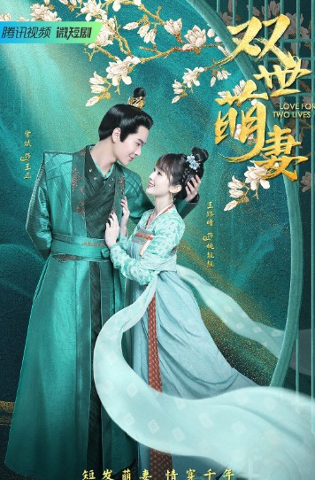 [중드추천] 드라마다시보기 쌍세맹처 결말 줄거리 등장인물 왕로청, 상빈, 임사제