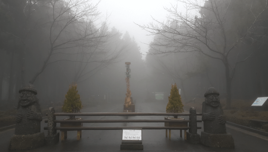 제주 절물자연휴양림