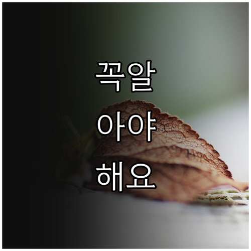 취업 취약계층 2025 지역공동체일자..