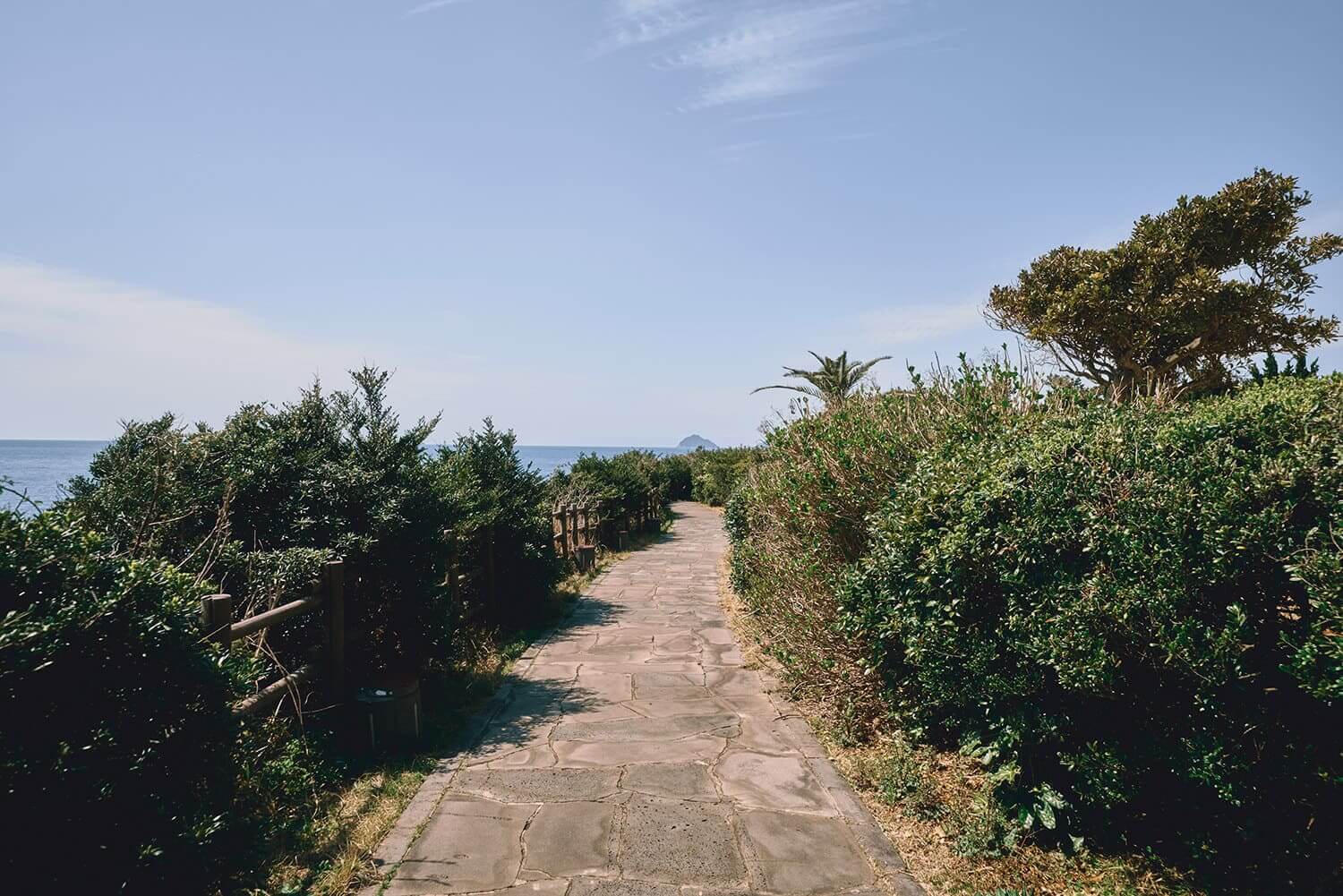 제주 올레길 5코스 추천: 남원포구에서 쇠소깍까지 힐링 여행