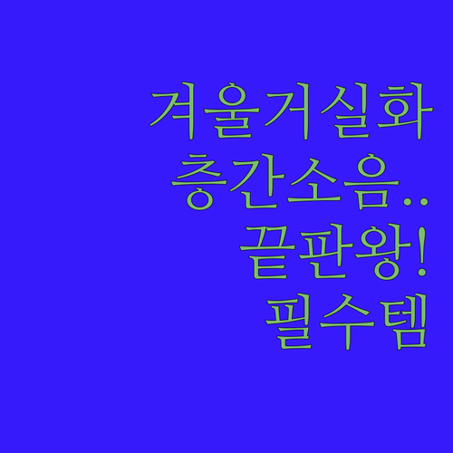 따뜻한 겨울 거실화 층간소음 없는 털..