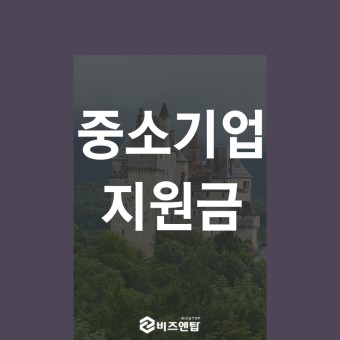 2023년 중소 기업 지원금 지원 방법, 자격 기준 및 역할, 배경