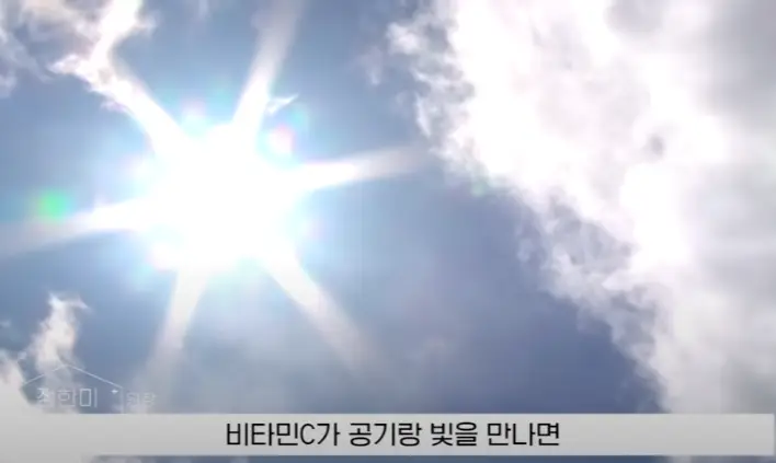 비타민-C-불안정성