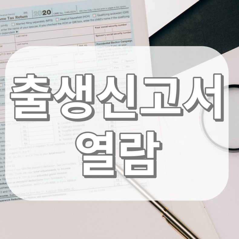 출생신고서 열람