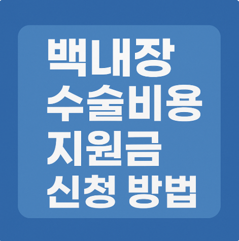 백내장 수술비용 지원금 신청 방법