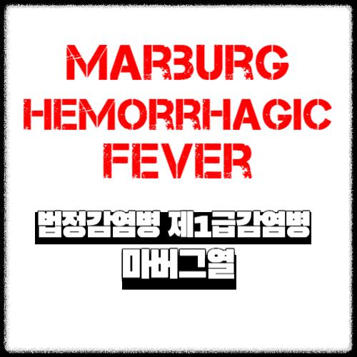 법정감염병 제1급감염병 | 마버그열(Marburg Hemorrhagic Fever)