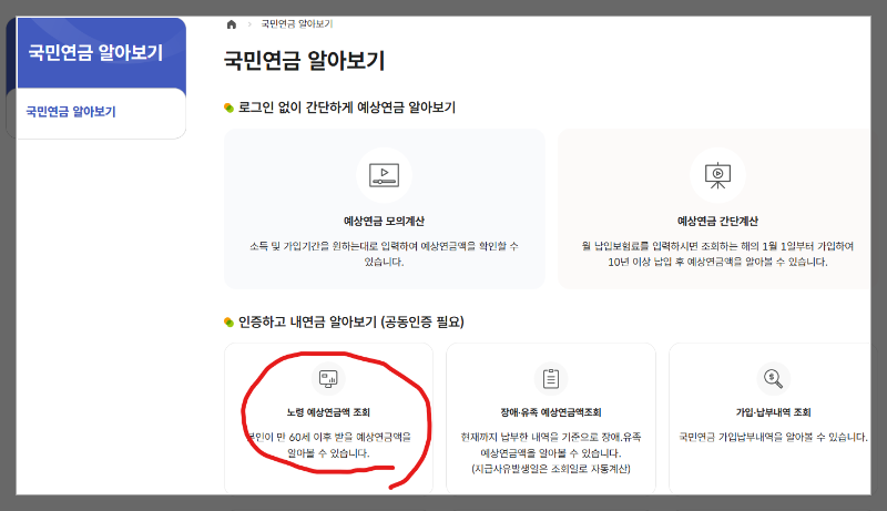 [노령 예상연금액 조회]