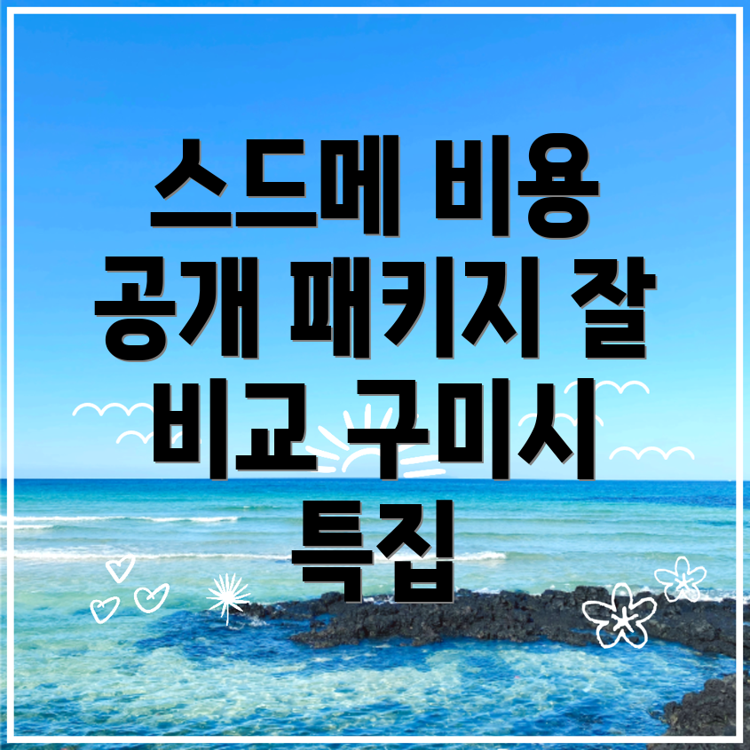 구미시 스드메 비용