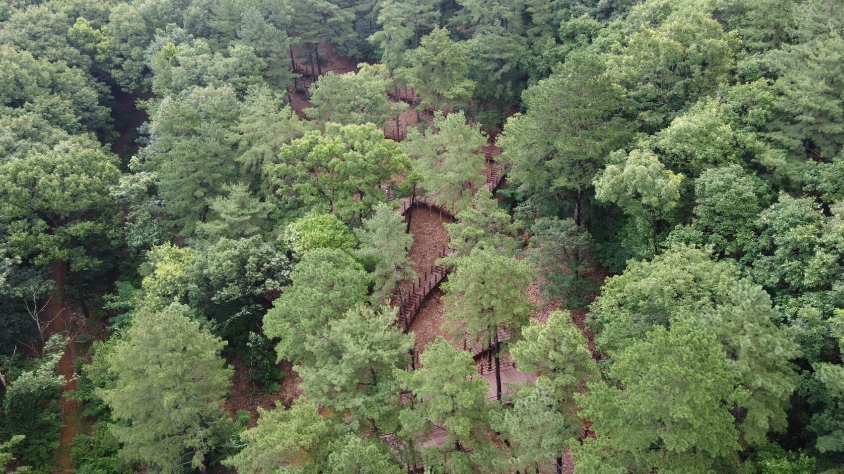 무봉산 자연휴양림