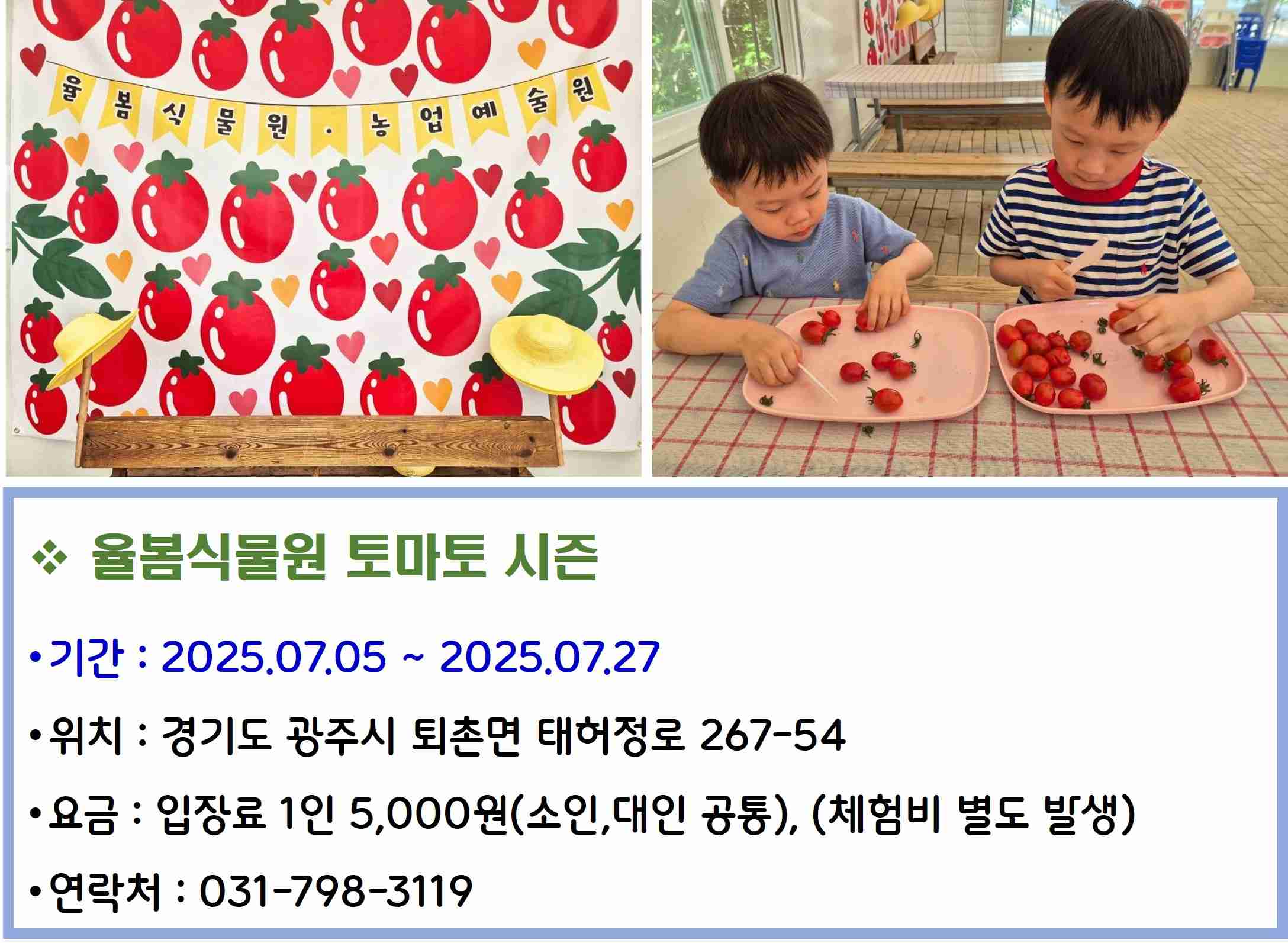 율봄식물원 토마토 시즌