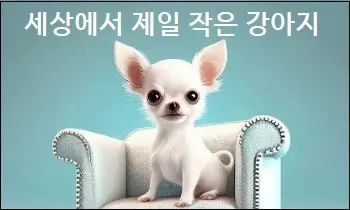 세상에서 제일 작은 강아지