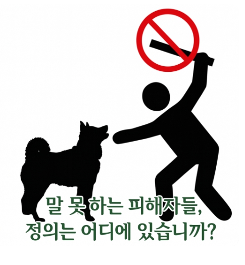 동물학대 처벌 현실