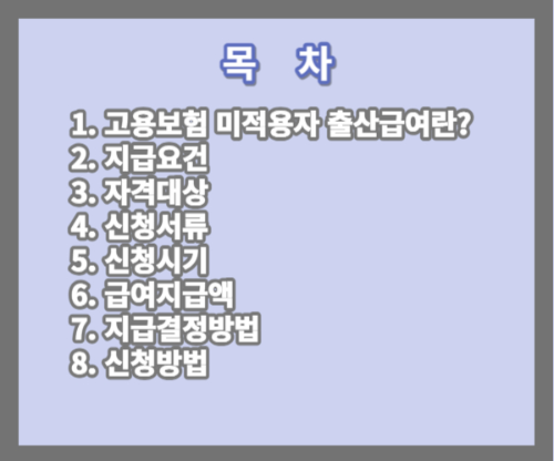 고용보험 미적용자 출산급여