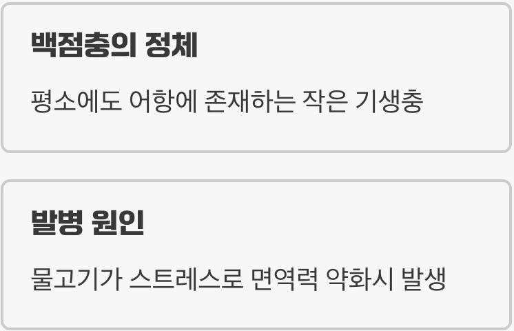 물속의 감기, 그 정체는?