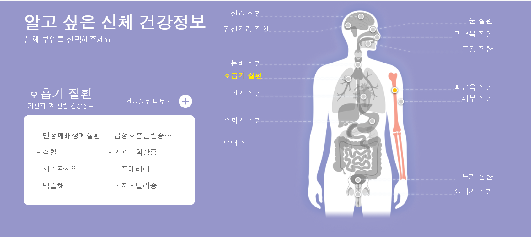 알고 싶은 신체 건강정보 &lt;질병관리청 국가건강정보포털&gt;