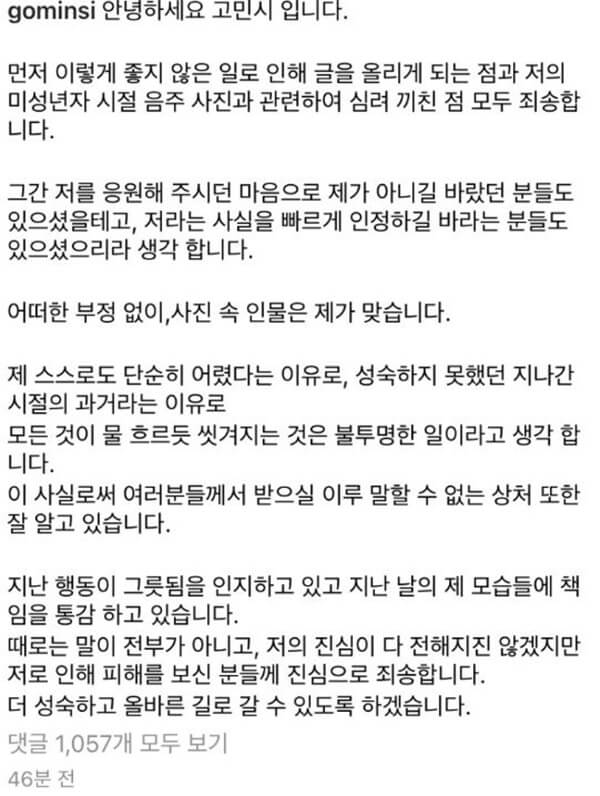 고민시-과거-미성년자-술집-사과