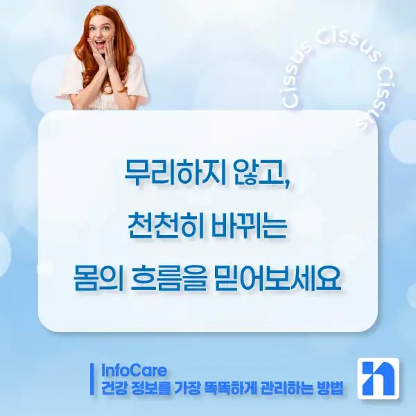 시서스 효능, 다이어트, 복용법