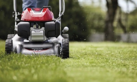 전원주택 잔디관리 - 잔디깎는 빈도 주기, 잔디깎기기계 고르는 방법(수동, 자동 장단점)