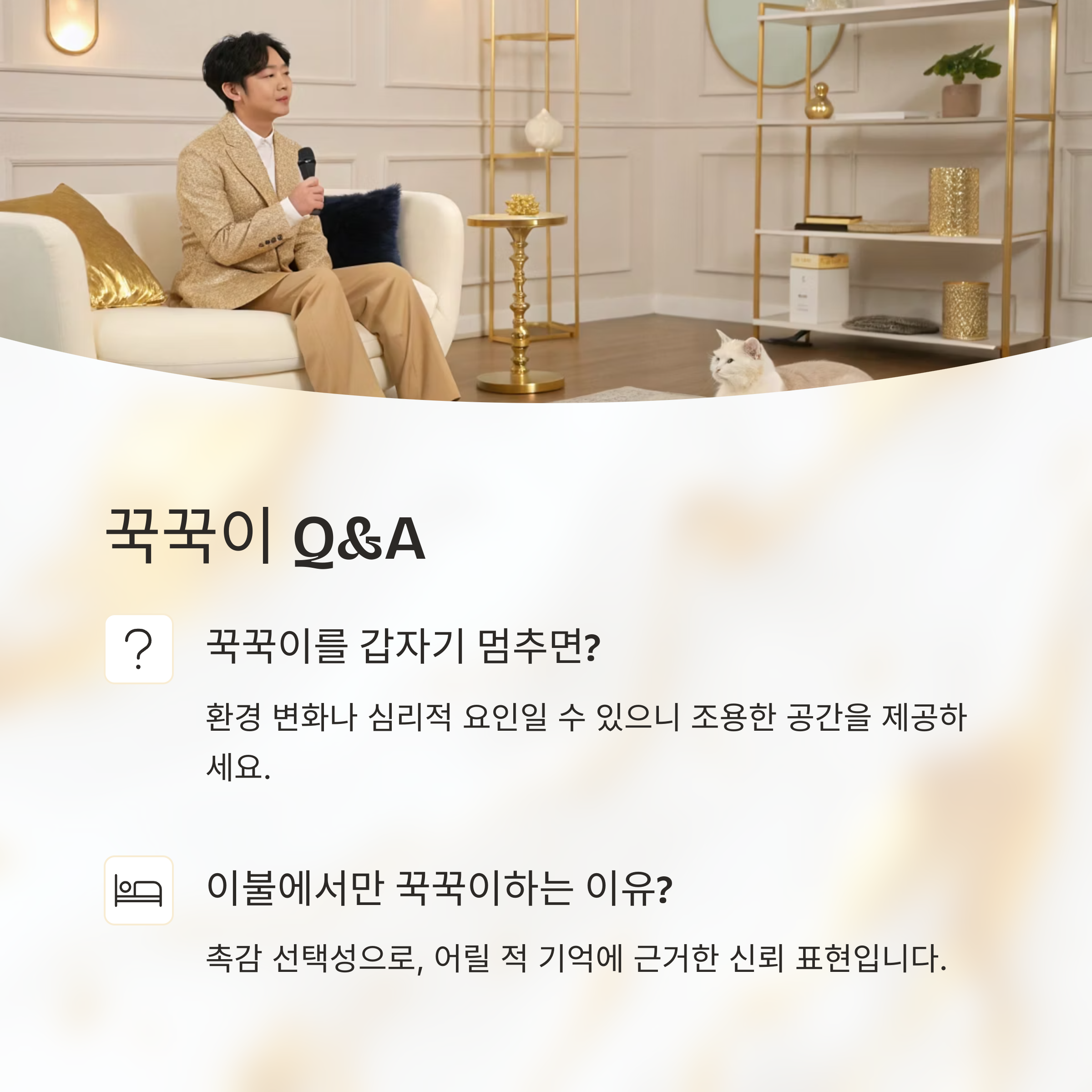 꾹꾹이 Q&amp;A