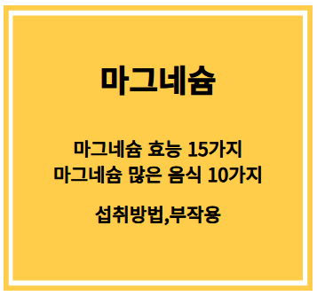마그네슘 효능
