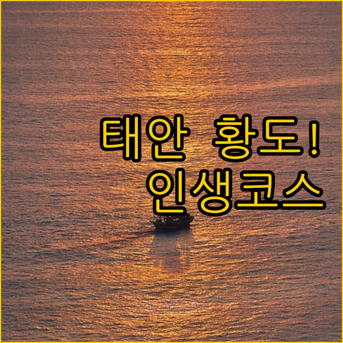 서해안 태안 황도 드라이브 명소와 델..