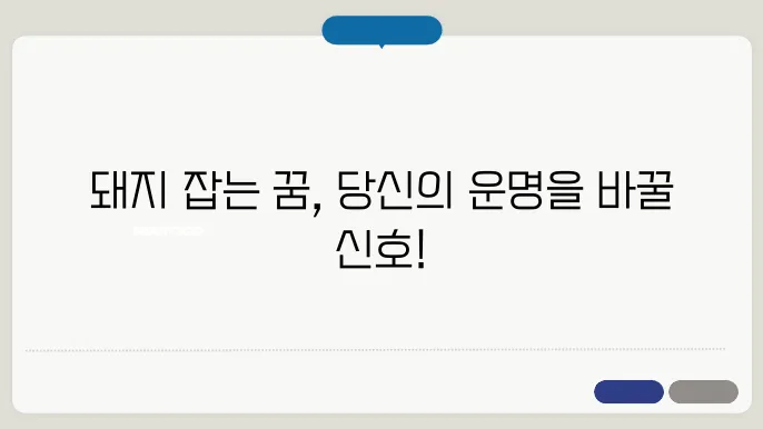 돼지 잡는 꿈 해몽