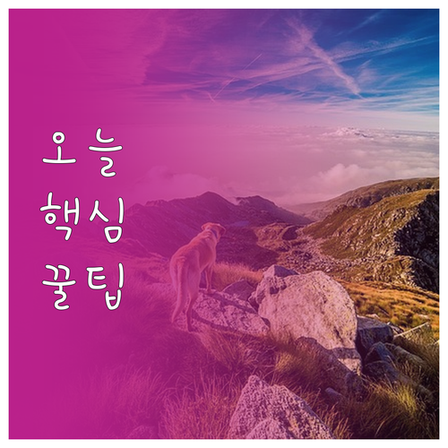 명품 시세조회 핵심 3단계 온라인 오..