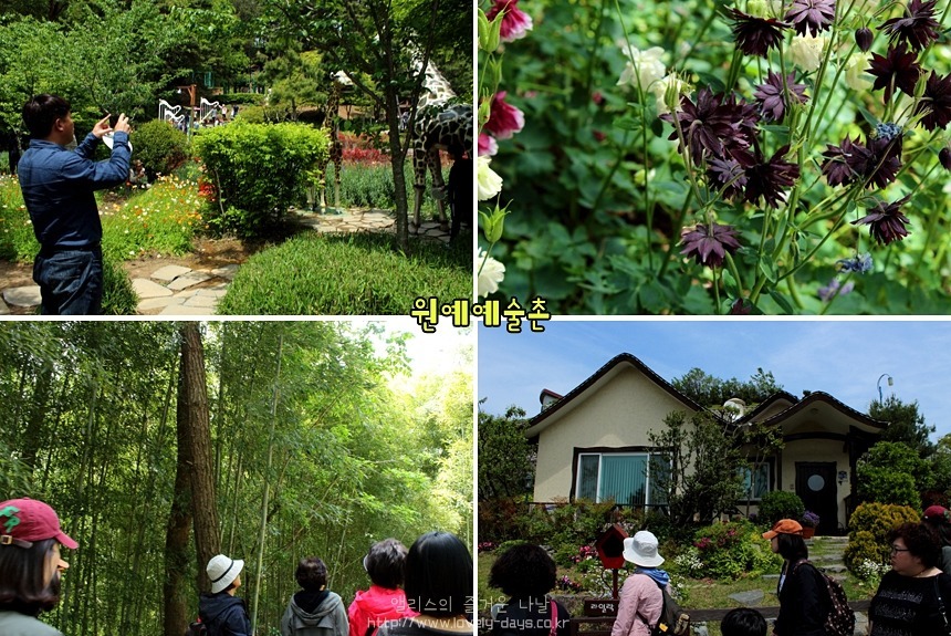 남해 여행 추천 코스 + 가볼만한곳 BEST 06 - 전도갯벌체험장, 독일마을 포함