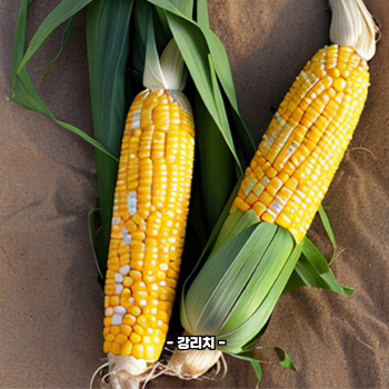 초당옥수수 부작용