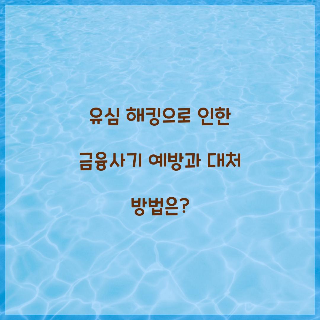 유심 해킹으로 인한 금융사기