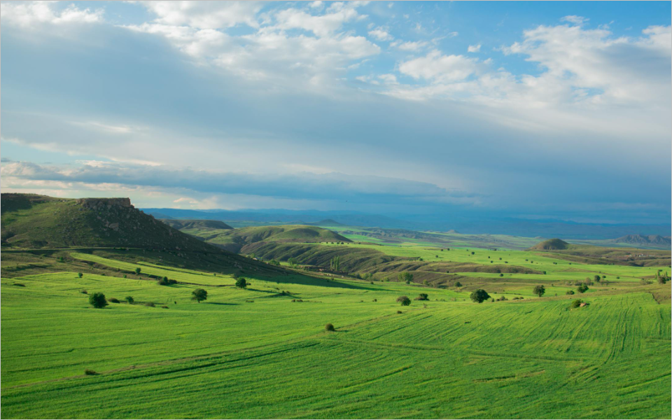 국토교통부 지적도 무료열람- 토지이음 홈페이지 및 앱 바로가기