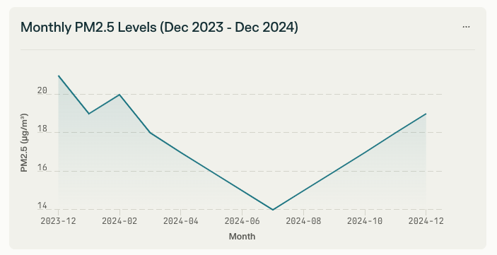 PM2.5 농도가 높은 시기에는 외출을 자제하고, 실내 공기질을 관리하는 것이 중요