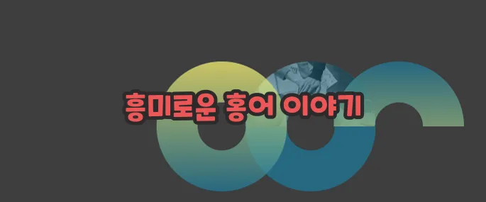 홍어 효능 부작용 섭취방법 알아볼게요