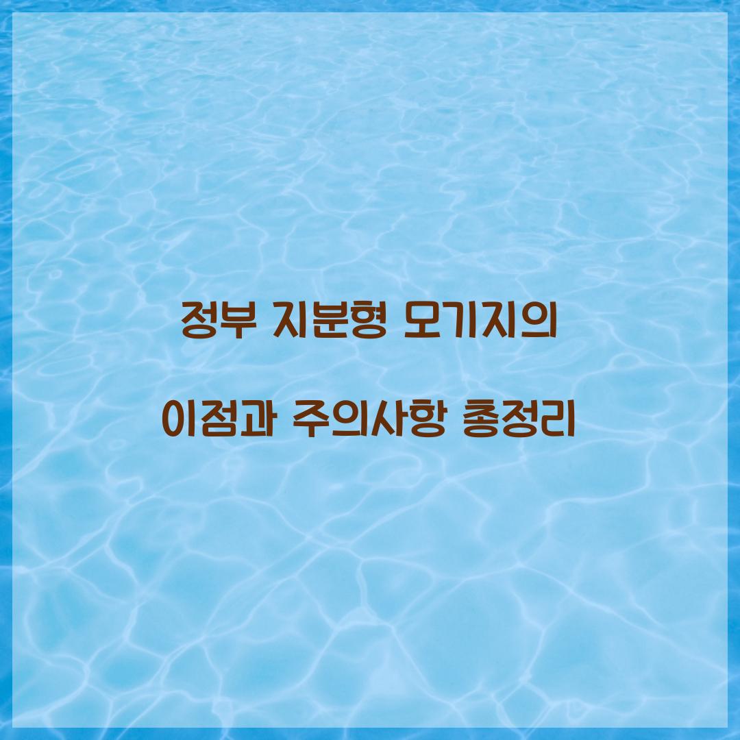 정부 지분형 모기지