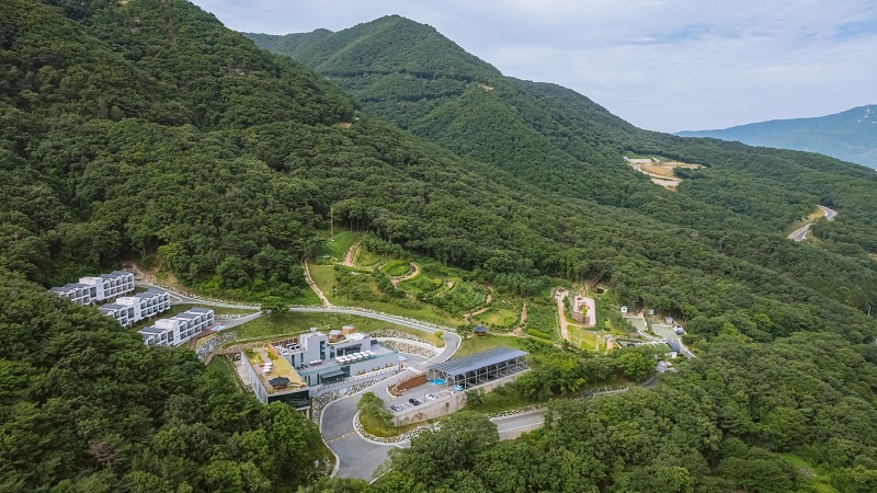 숲애서 전경