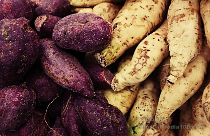 고구마-효능-요리-섭취방법--5