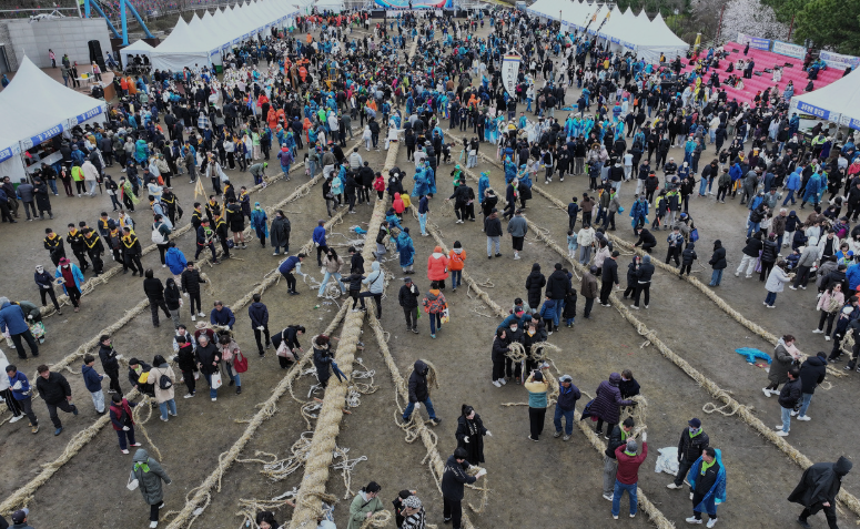 기지시 줄다리기 -동편(동새끼)과 서편(서새끼)승패보다는 화합 을 중시