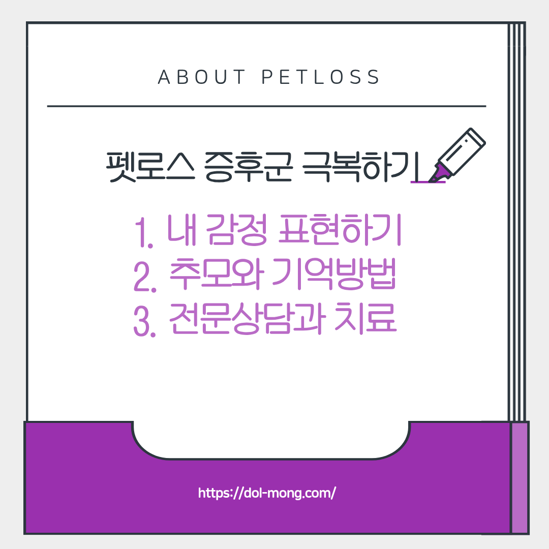 펫로스증후군을 극복하는 방법과 그에 대한 치유 과정
