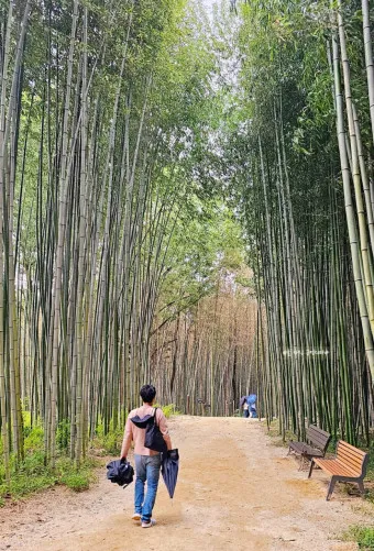 담양 맛집 베스트10 진짜 현지인만 아는곳_12