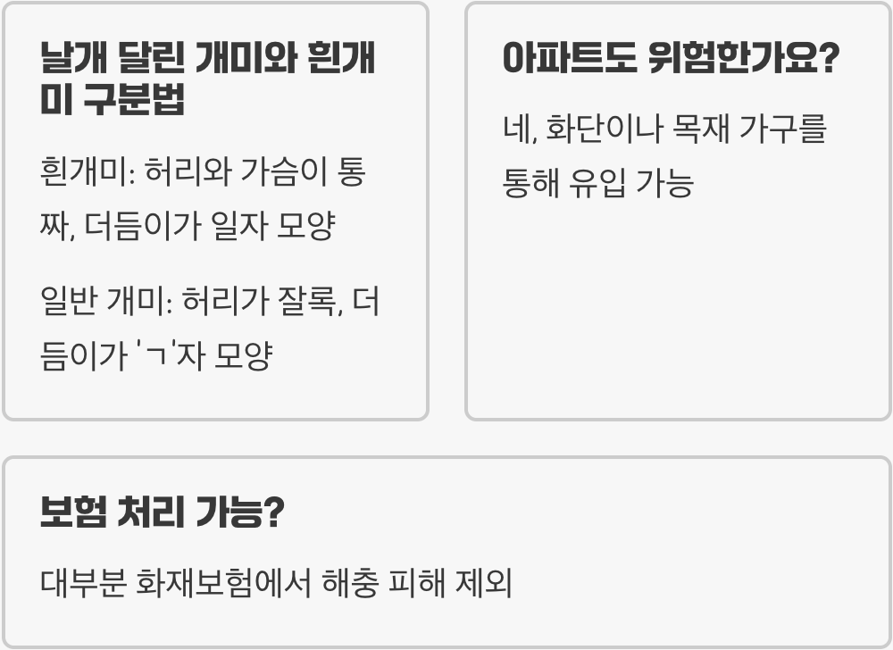 흰개미 퇴치법 BEST 5 (집에서 당장 할 수 있는 방법)