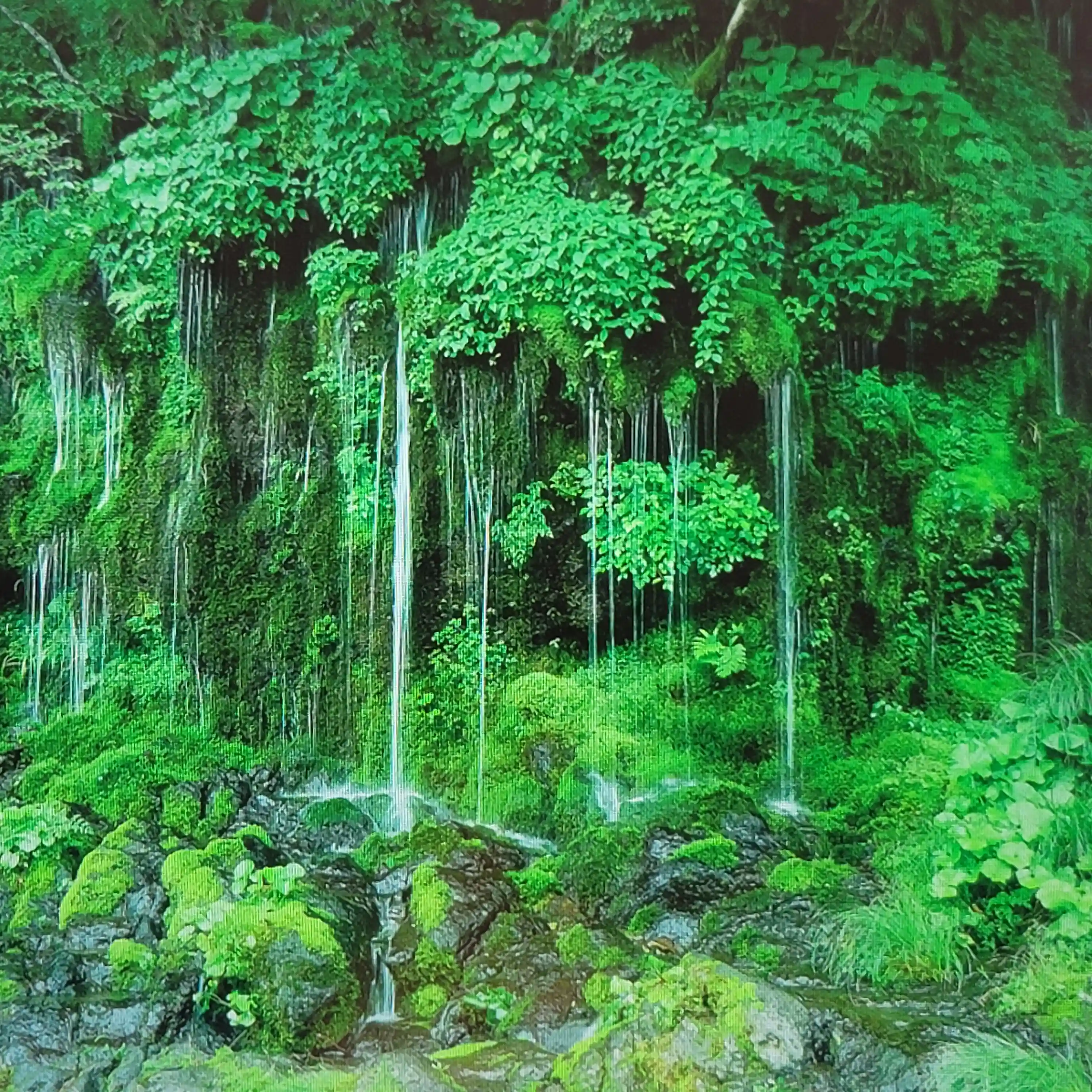 여름철 계곡산행지