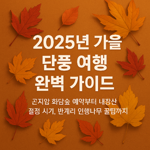 2025년 가을 단풍 여행