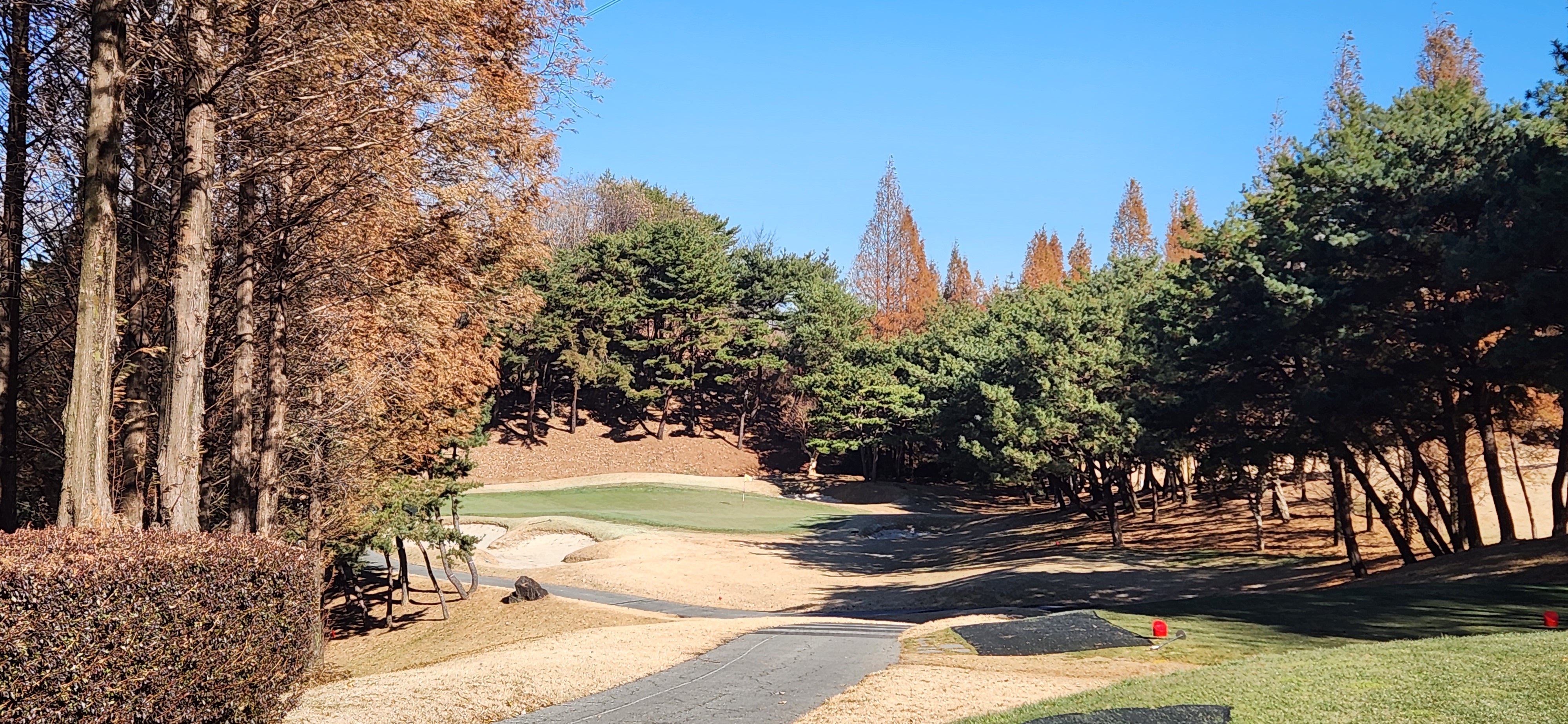 파인크리크