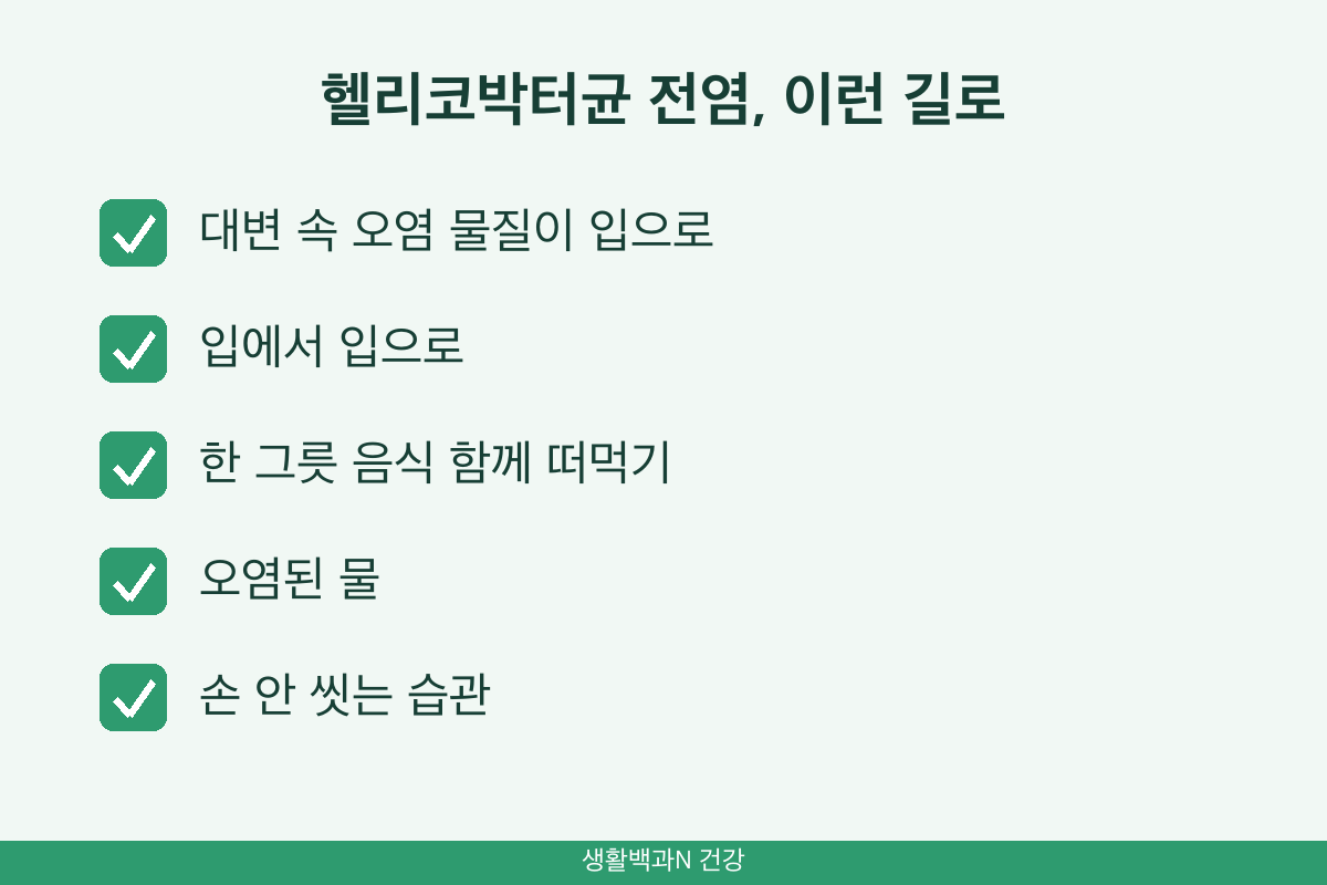 헬리코박터균 전염 경로 입에서 입 한 그릇 음식 오염된 물 위생 습관