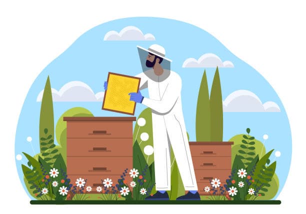 농업에서 벌의 미래적 가치