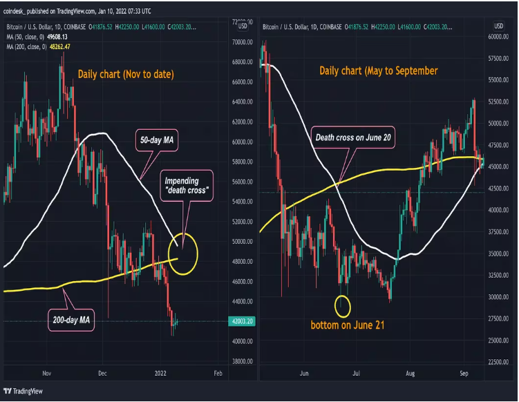 코인데스크-홈페이지
