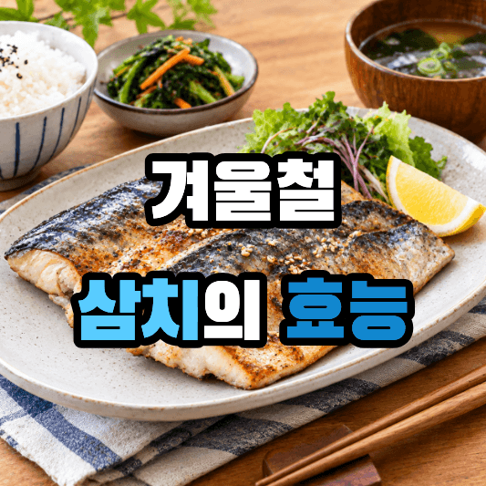 삼치 효능
