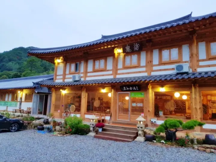 김PD가 떴다 한줌에 150만원 최고 몸값 죽로차 파는 곳