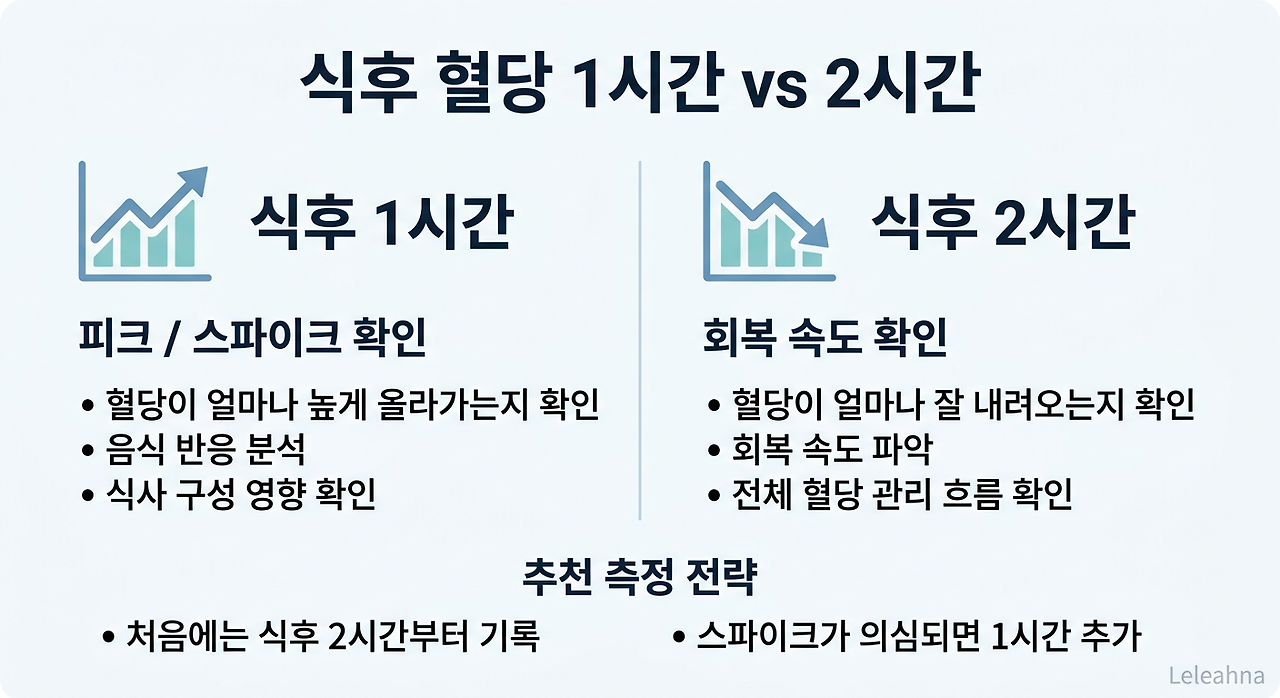 식후 혈당 1시간 2시간 측정 타이밍 차이 인포그래픽